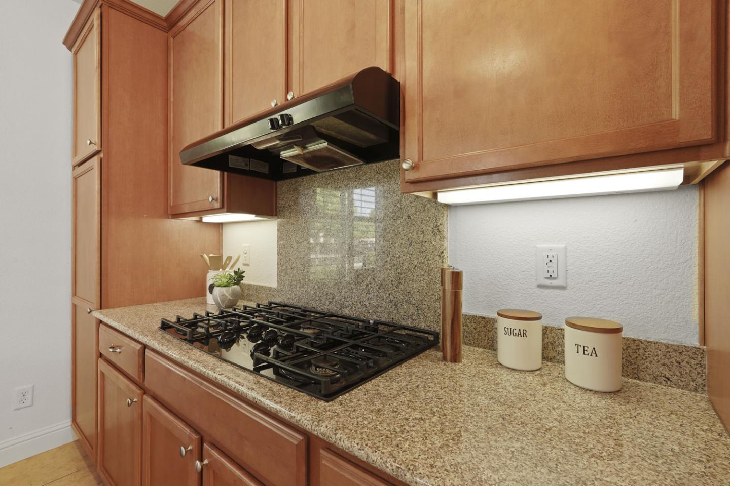 Detail Gallery Image 11 of 51 For 2454 Rockbrook Ln, Manteca,  CA 95336 - 2 Beds | 2 Baths