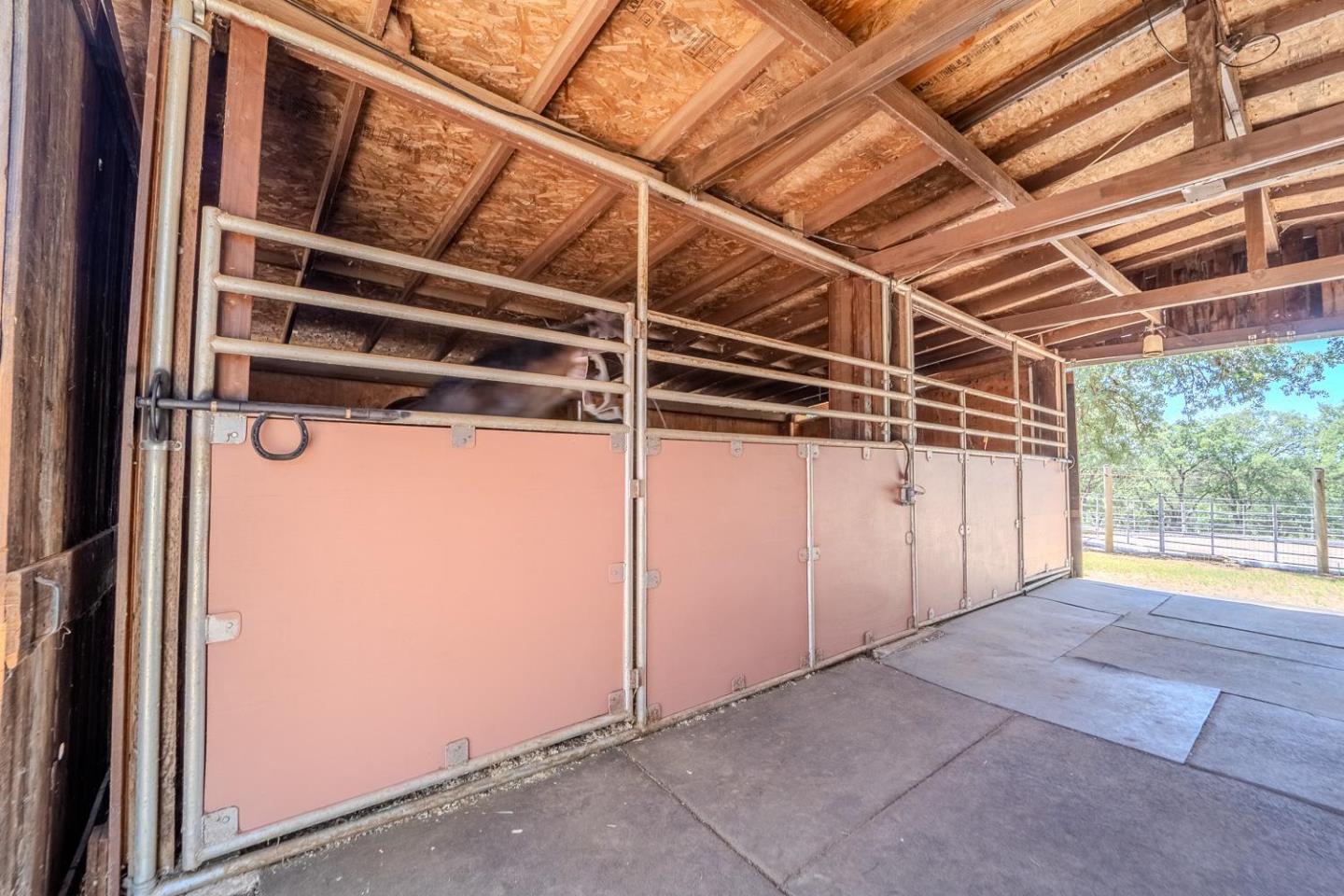 Detail Gallery Image 50 of 90 For 7259 White Oak Ln, Browns Valley,  CA 95918 - 2 Beds | 2 Baths
