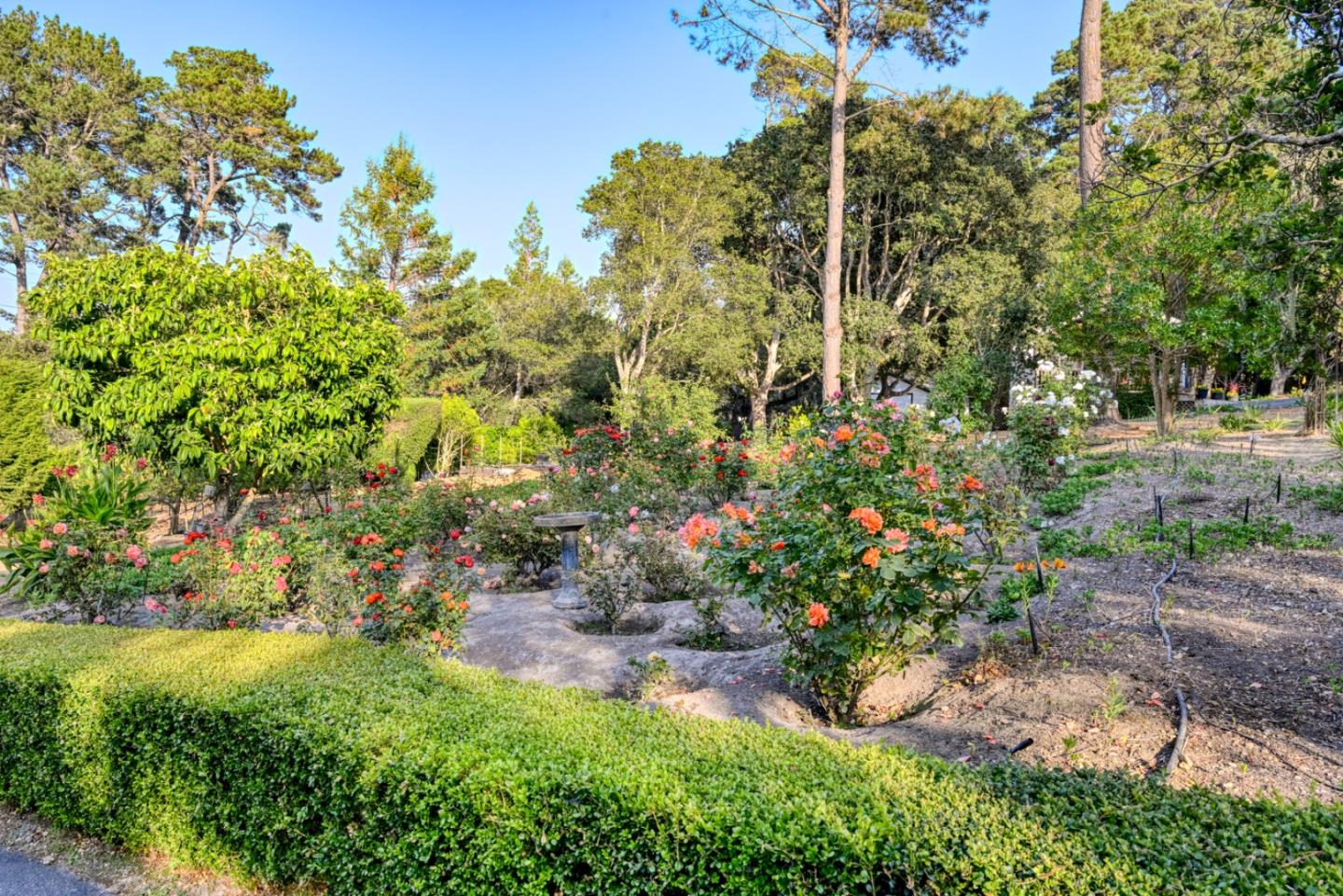 Detail Gallery Image 47 of 50 For 552 Monhollan Rd, Carmel,  CA 93923 - 8 Beds | 8/2 Baths