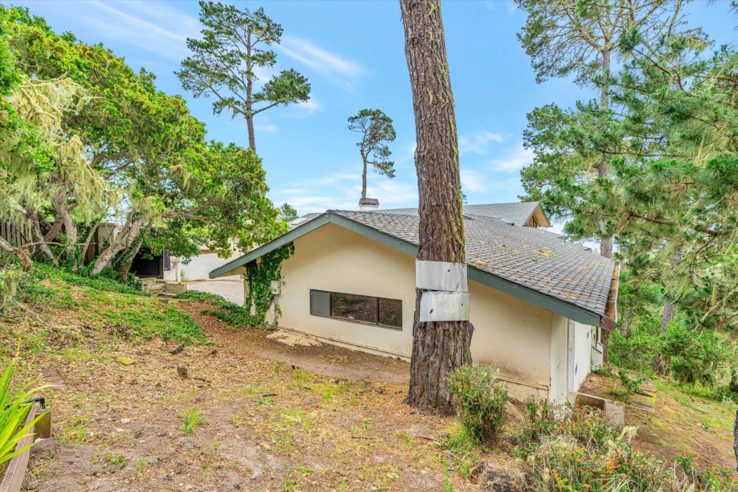 Detail Gallery Image 53 of 61 For 81 Corona Rd a,  Carmel,  CA 93923 - 3 Beds | 3/1 Baths