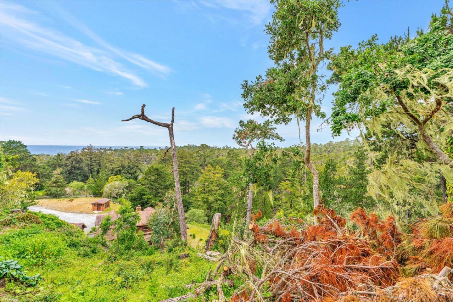 Detail Gallery Image 56 of 57 For 81 Corona Rd a,  Carmel,  CA 93923 - 3 Beds | 3/1 Baths