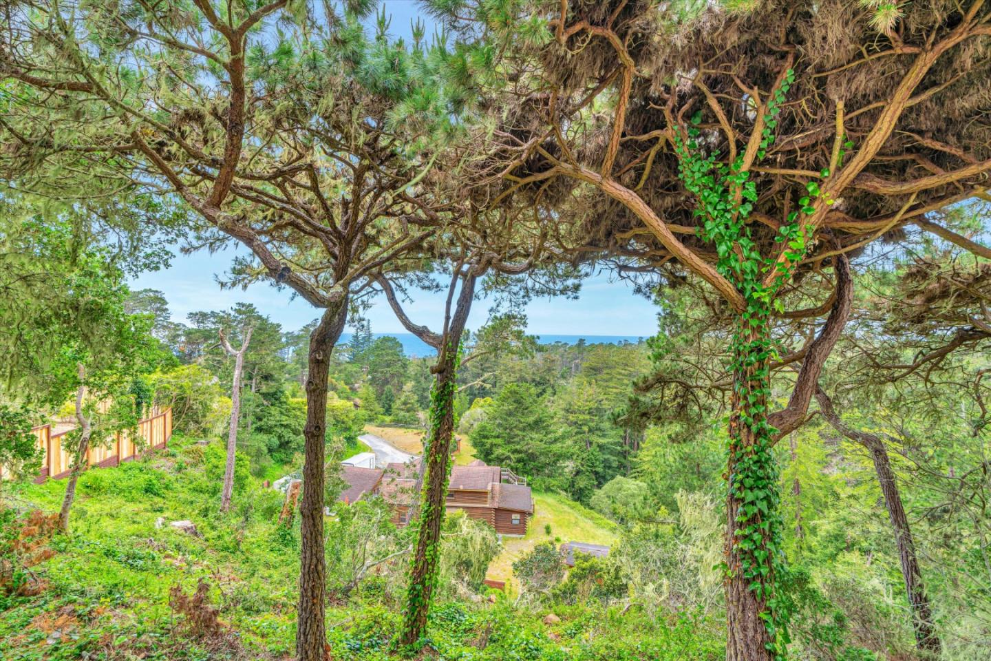 Detail Gallery Image 57 of 57 For 81 Corona Rd a,  Carmel,  CA 93923 - 3 Beds | 3/1 Baths