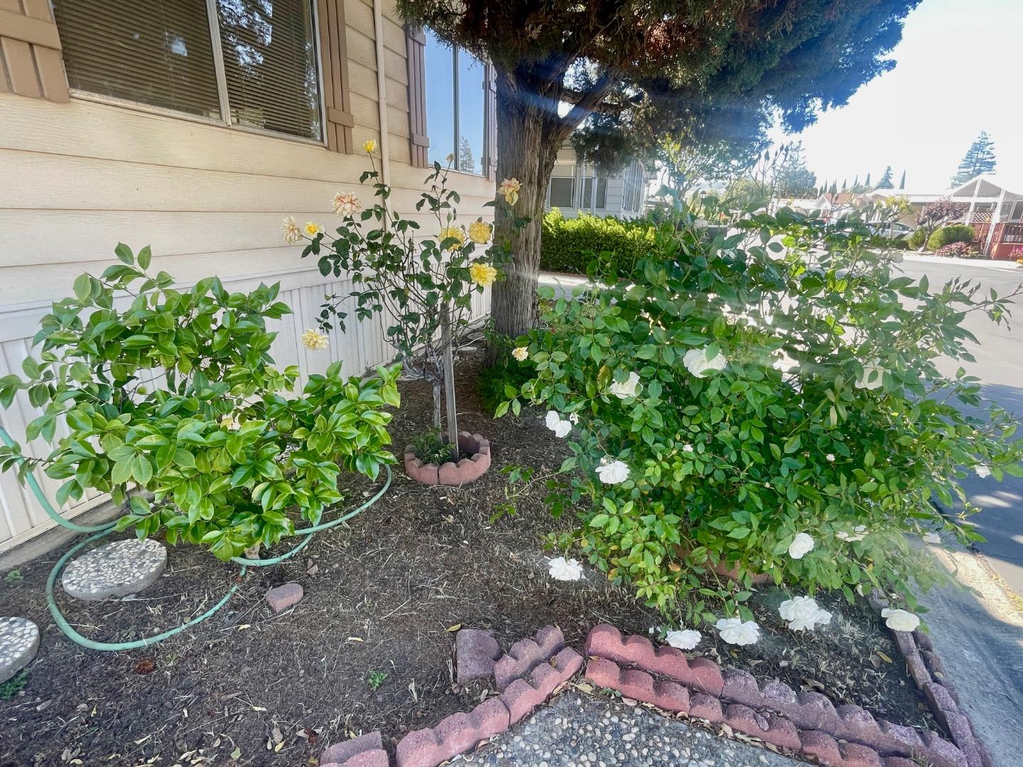 Detail Gallery Image 31 of 44 For 39 Walnut #39,  Morgan Hill,  CA 95037 - 2 Beds | 2 Baths