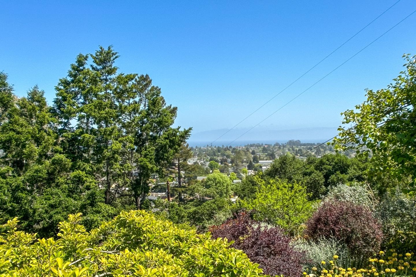 Detail Gallery Image 50 of 51 For 139 Scenic St, Santa Cruz,  CA 95060 - 3 Beds | 2/1 Baths