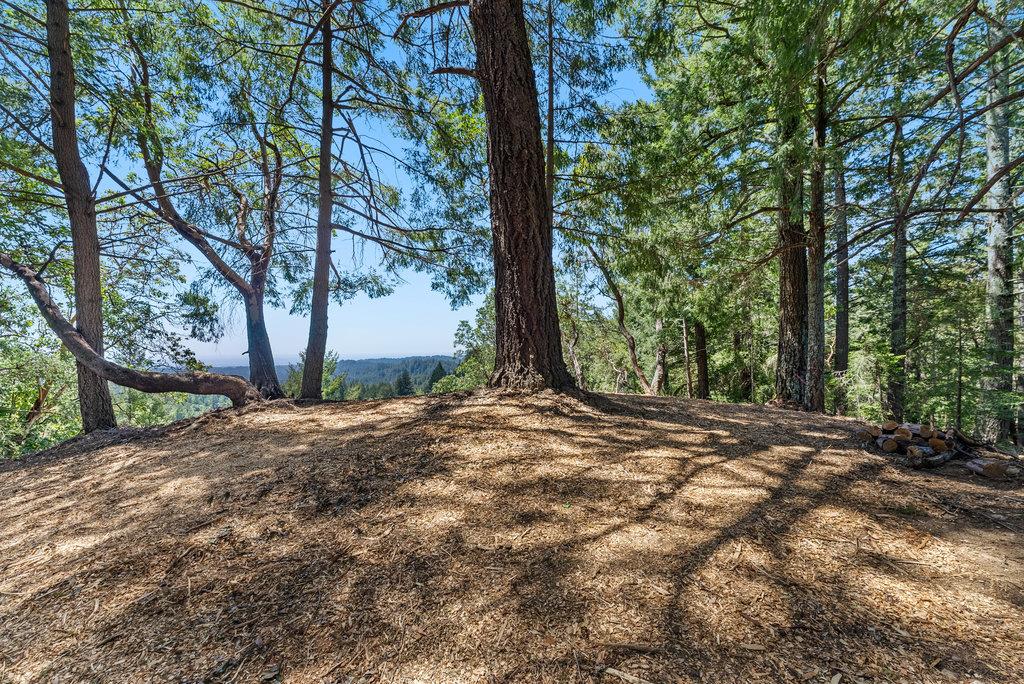 Detail Gallery Image 4 of 27 For 0 Quail Ridge Rd, Scotts Valley,  CA 95066 - – Beds | – Baths