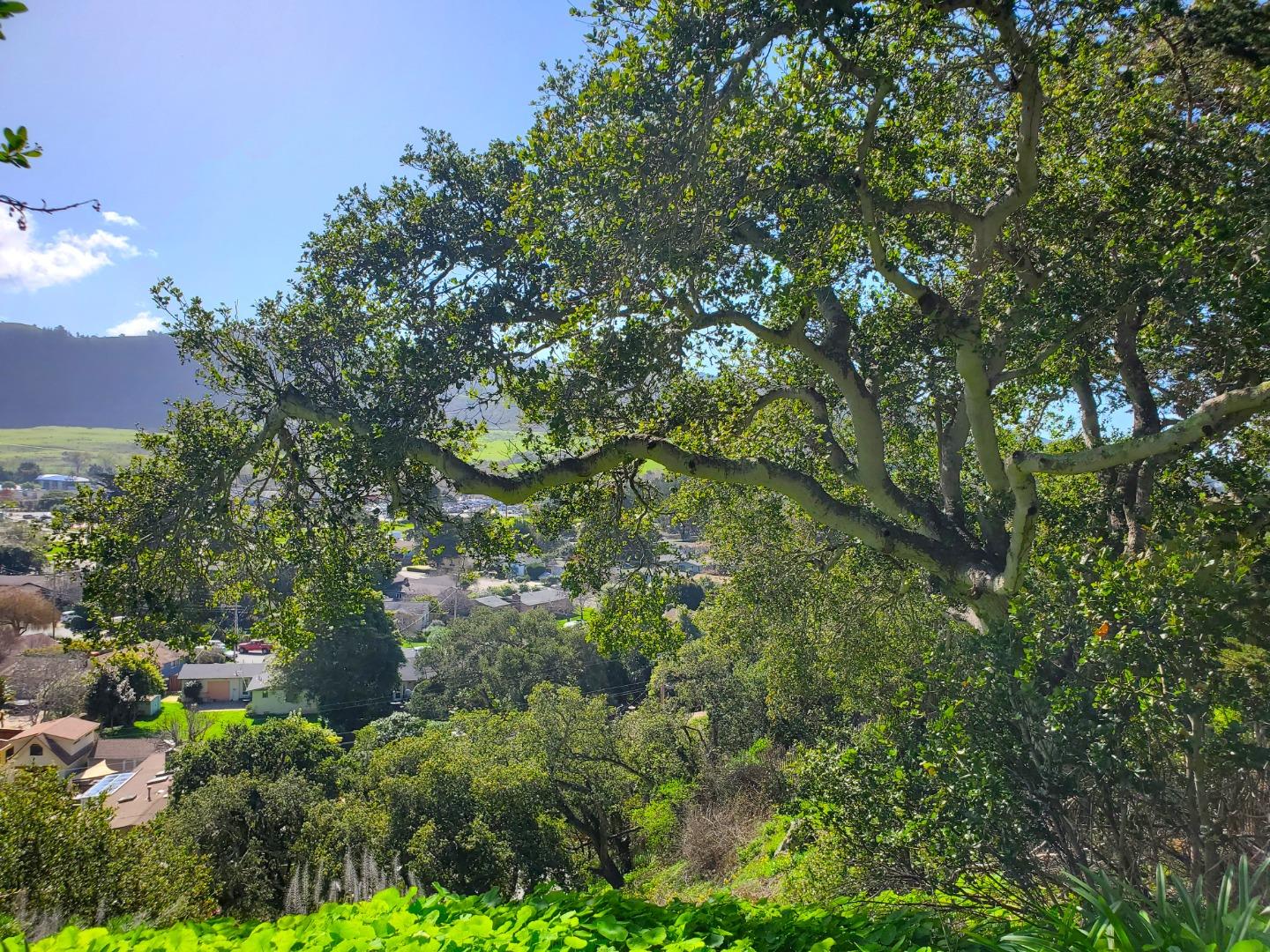 Detail Gallery Image 38 of 50 For 3528 Lazarro Drive, Carmel,  CA 93923 - – Beds | – Baths