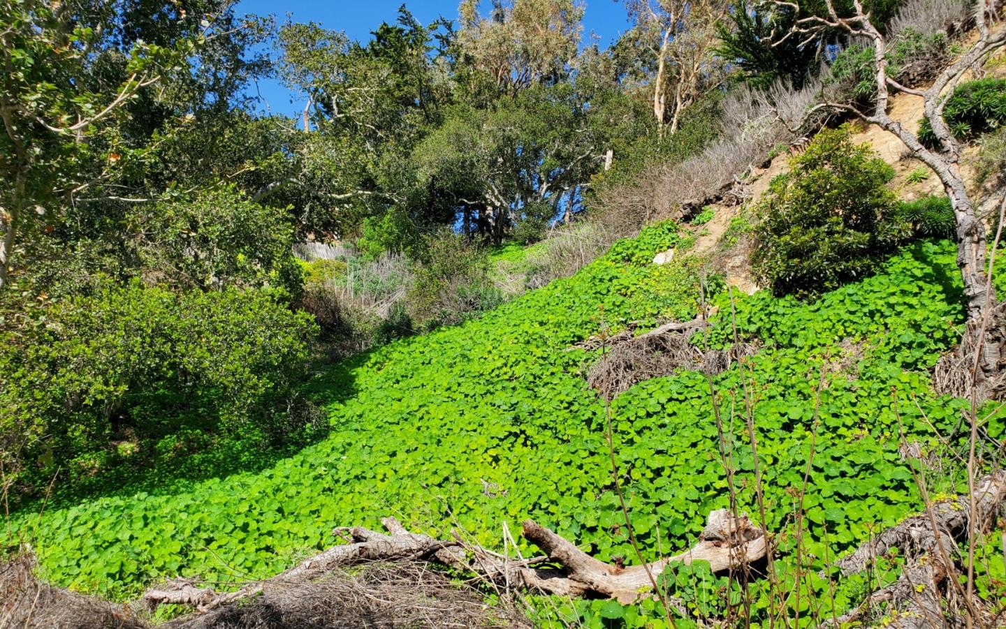 Detail Gallery Image 50 of 50 For 3528 Lazarro Drive, Carmel,  CA 93923 - – Beds | – Baths