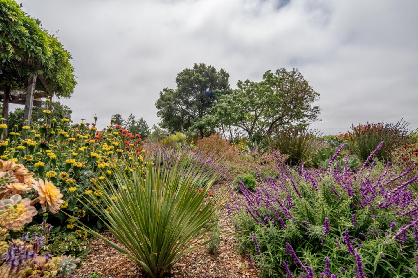 Detail Gallery Image 69 of 78 For 296 Allan Ln, Corralitos,  CA 95076 - 4 Beds | 3 Baths