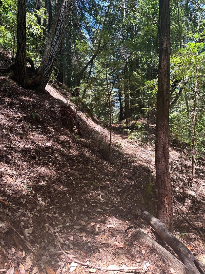 0 Waldeberg, Ben Lomond, California 95005, ,Land,For Sale,0 Waldeberg,ML81966668