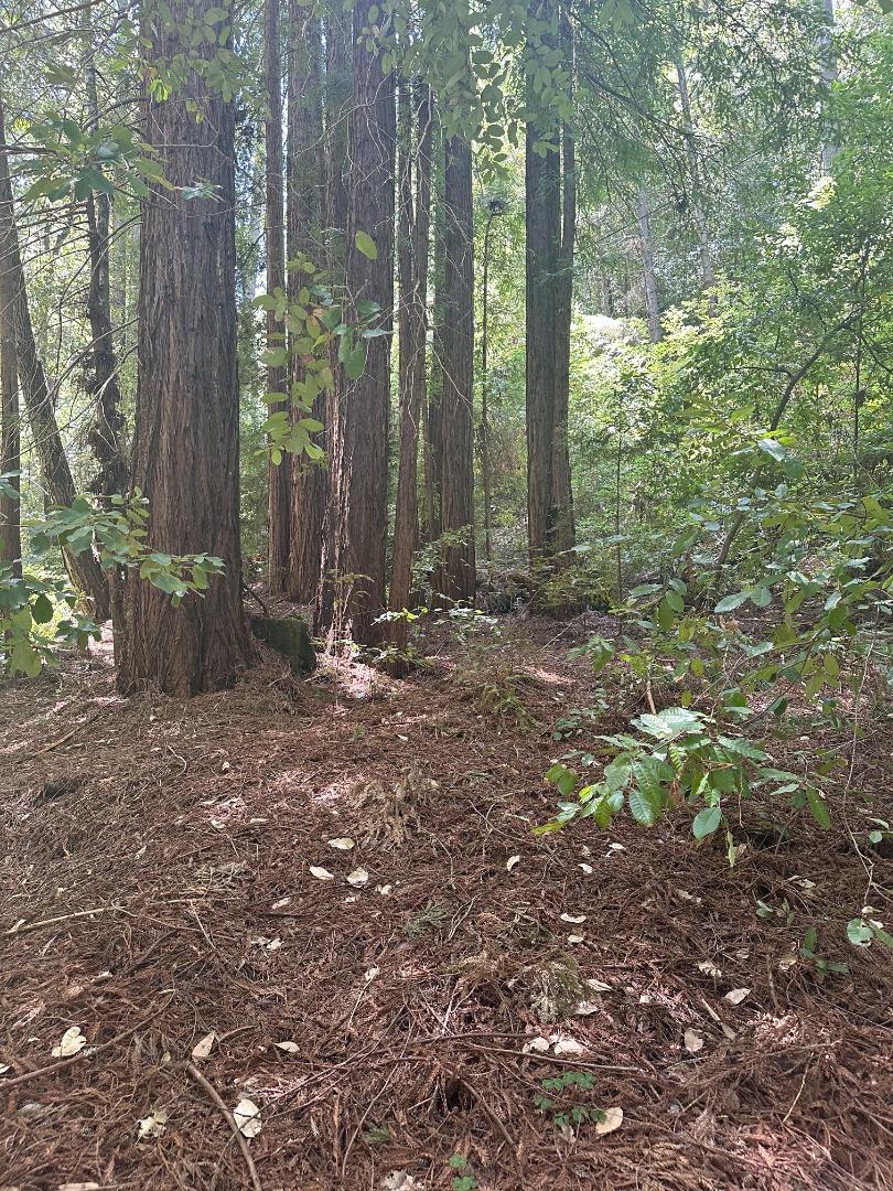 0 Waldeberg, Ben Lomond, California 95005, ,Land,For Sale,0 Waldeberg,ML81966668