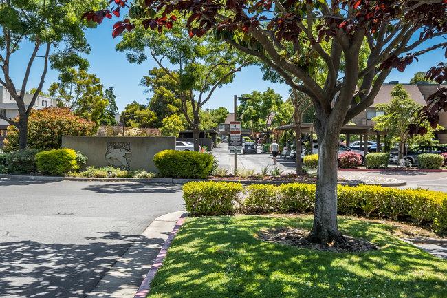 Detail Gallery Image 66 of 79 For 97 Pelican Ln, Redwood Shores,  CA 94065 - 1 Beds | 1 Baths