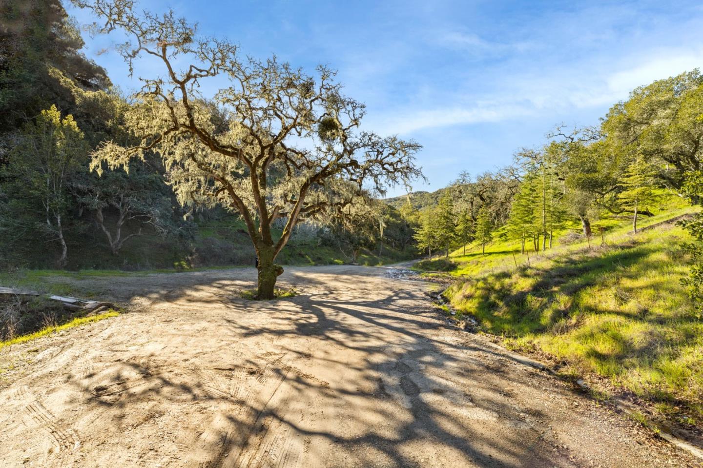 4 El Vanada Road, Redwood City, California 94062, ,Land,For Sale,4 El Vanada Road,ML81967508