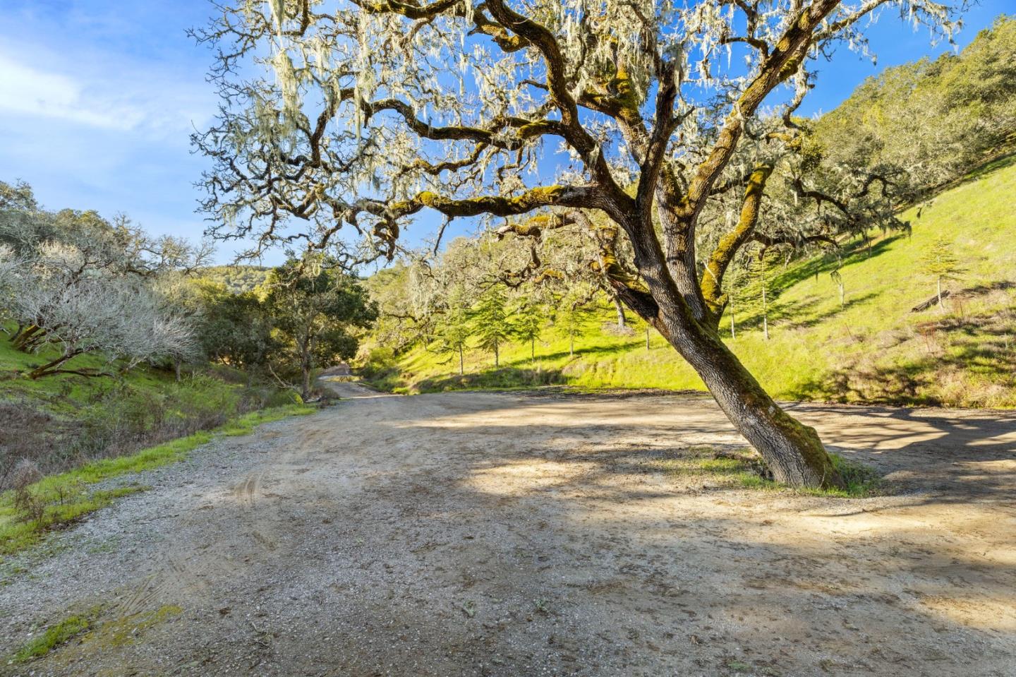 4 El Vanada Road, Redwood City, California 94062, ,Land,For Sale,4 El Vanada Road,ML81967508