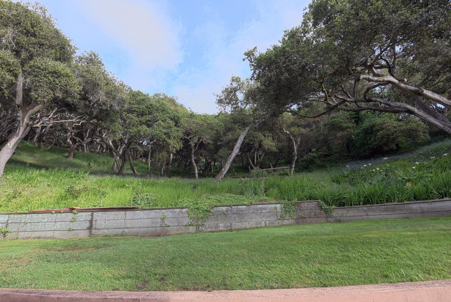 18264 Pesante Rd, Monterey County, CA 93907 photo 8