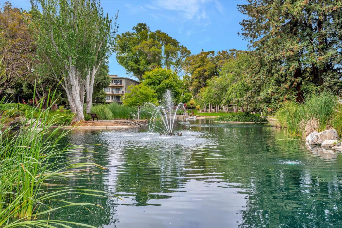 Detail Gallery Image 30 of 31 For 847 N Humboldt St #203,  San Mateo,  CA 94401 - 0 Beds | 1 Baths