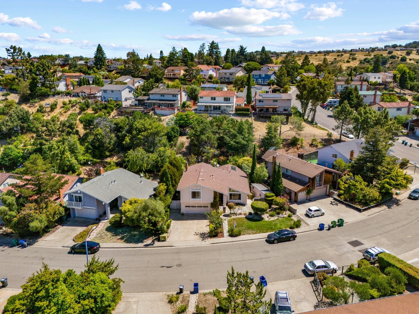 Detail Gallery Image 1 of 48 For 3524 Pinewood Dr, Hayward,  CA 94542 - 3 Beds | 3 Baths