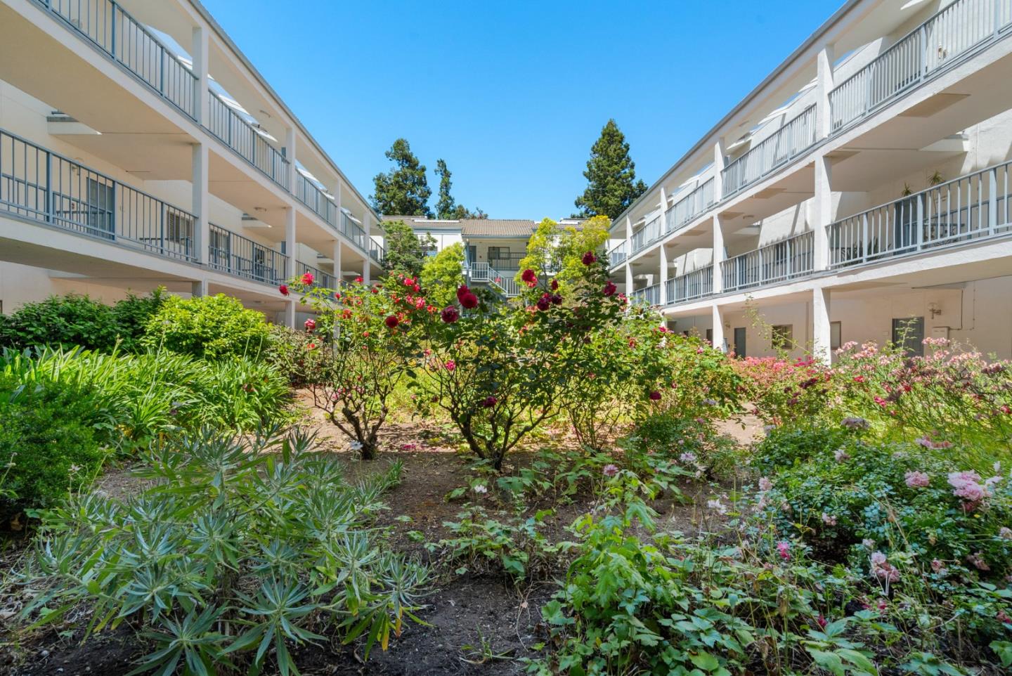 Detail Gallery Image 15 of 20 For 4661 Albany Cir #149,  San Jose,  CA 95129 - 1 Beds | 1 Baths