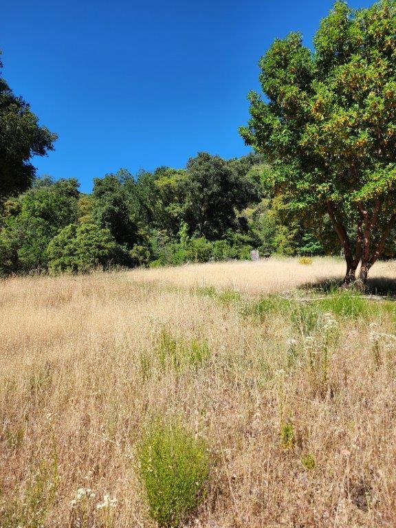 Detail Gallery Image 11 of 23 For 38795 Tassajara Rd, Carmel Valley,  CA 93924 - – Beds | – Baths