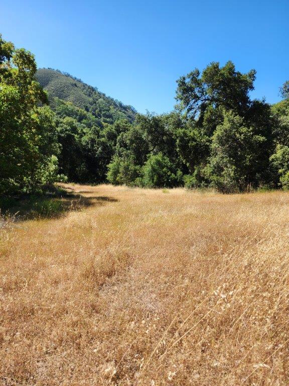 Detail Gallery Image 18 of 23 For 38795 Tassajara Rd, Carmel Valley,  CA 93924 - – Beds | – Baths