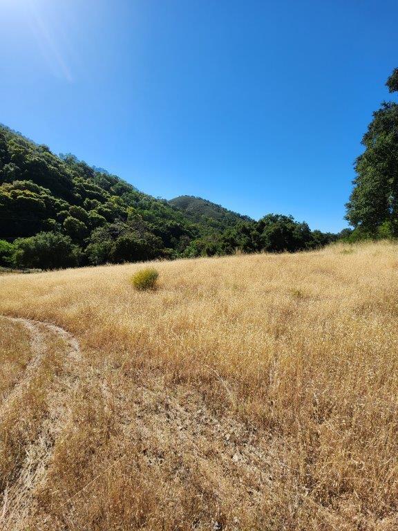 Detail Gallery Image 7 of 23 For 38795 Tassajara Rd, Carmel Valley,  CA 93924 - – Beds | – Baths