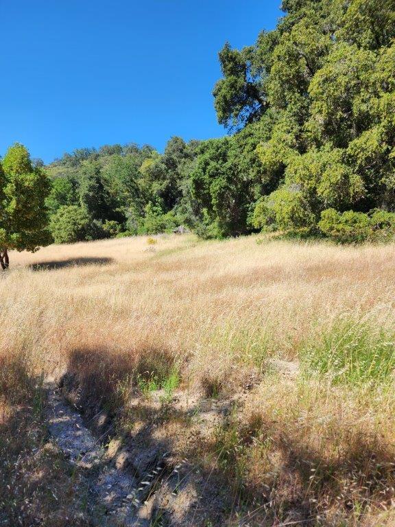 Detail Gallery Image 8 of 23 For 38795 Tassajara Rd, Carmel Valley,  CA 93924 - – Beds | – Baths