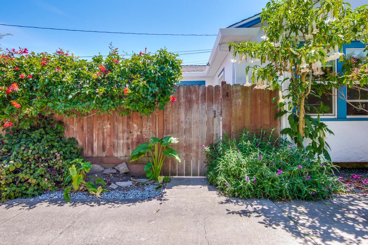 Detail Gallery Image 25 of 58 For 1505 17th Ave, Santa Cruz,  CA 95062 - 4 Beds | 3 Baths