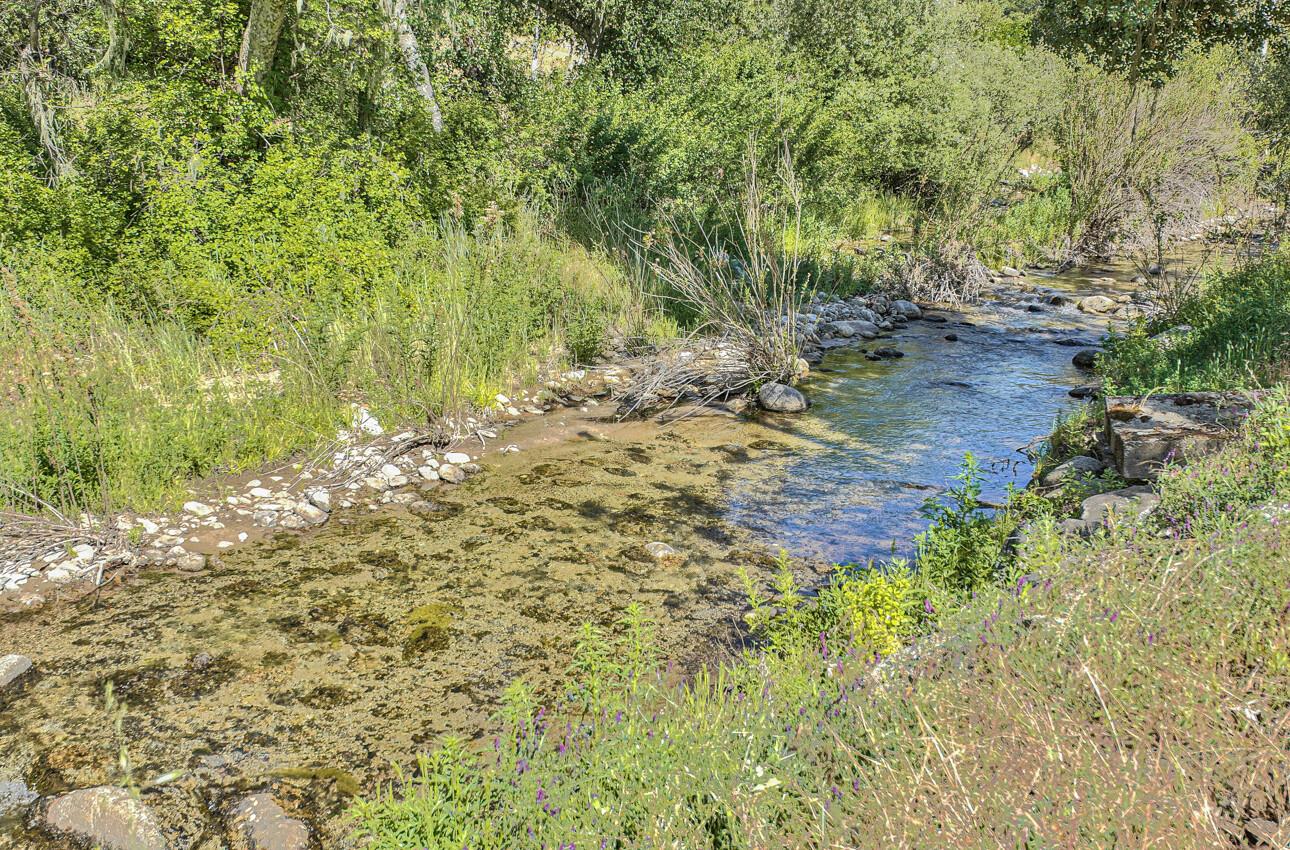 Detail Gallery Image 9 of 74 For 21195 Cachagua Rd, Carmel Valley,  CA 93924 - 3 Beds | 3/1 Baths