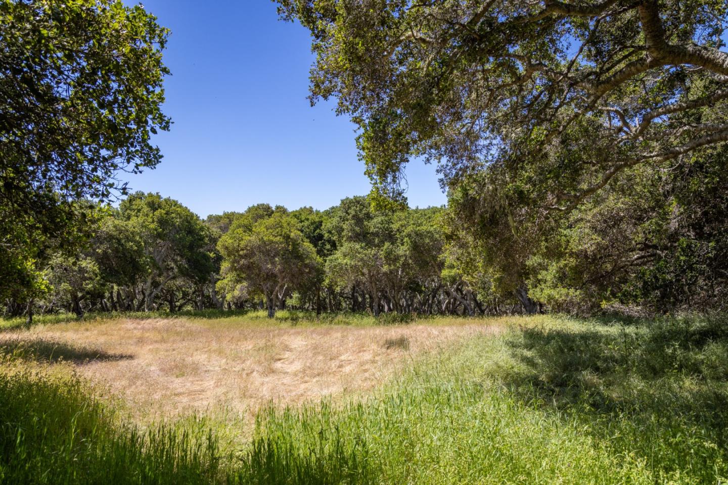 Detail Gallery Image 5 of 15 For 6 Rancho San Carlos Rd, Carmel,  CA 93923 - – Beds | – Baths