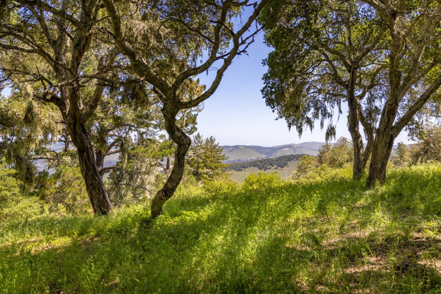 Detail Gallery Image 8 of 15 For 6 Rancho San Carlos Rd, Carmel,  CA 93923 - – Beds | – Baths