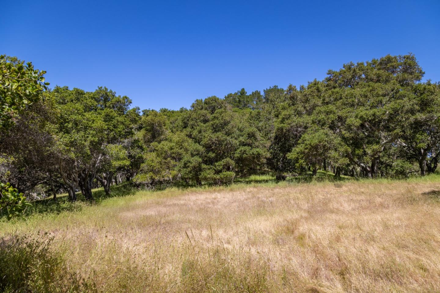 Detail Gallery Image 9 of 15 For 6 Rancho San Carlos Rd, Carmel,  CA 93923 - – Beds | – Baths