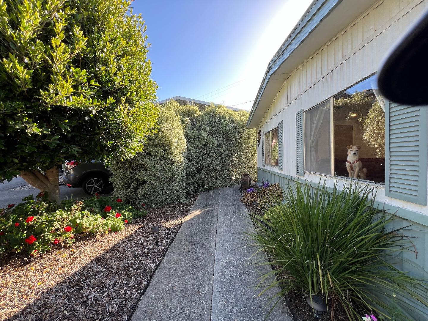 3302 Ashwood Way Unit 49  