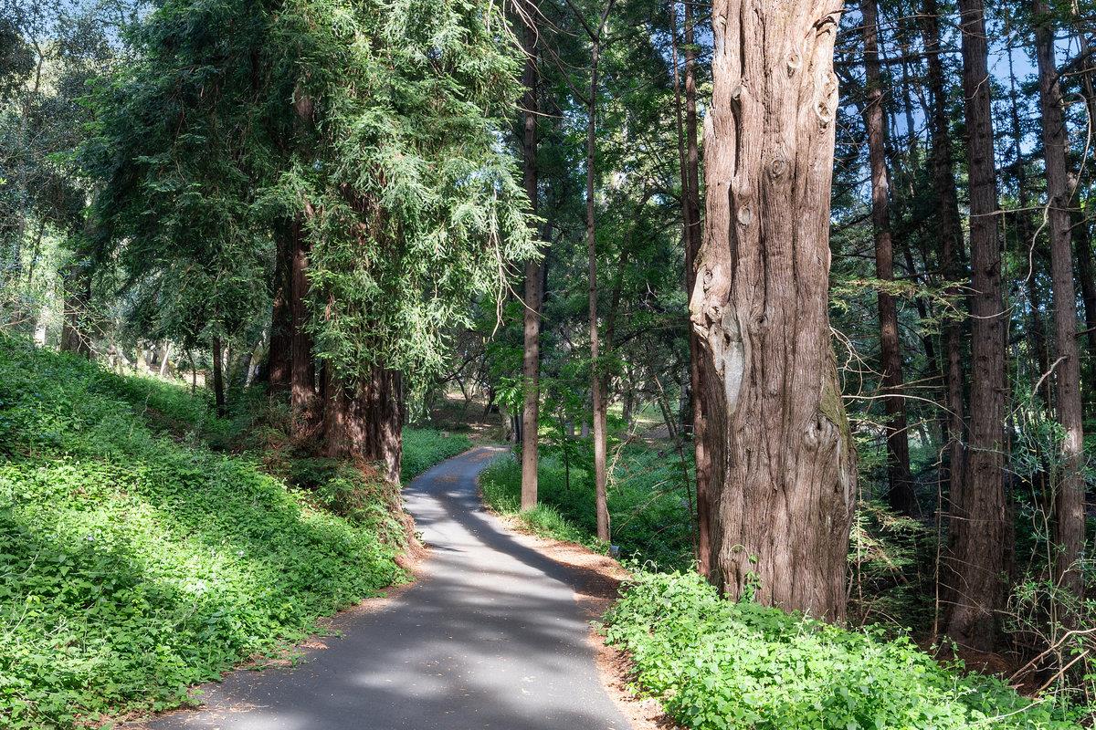 Detail Gallery Image 97 of 123 For 983 Charles Hill Rd, Santa Cruz,  CA 95065 - 5 Beds | 6/1 Baths