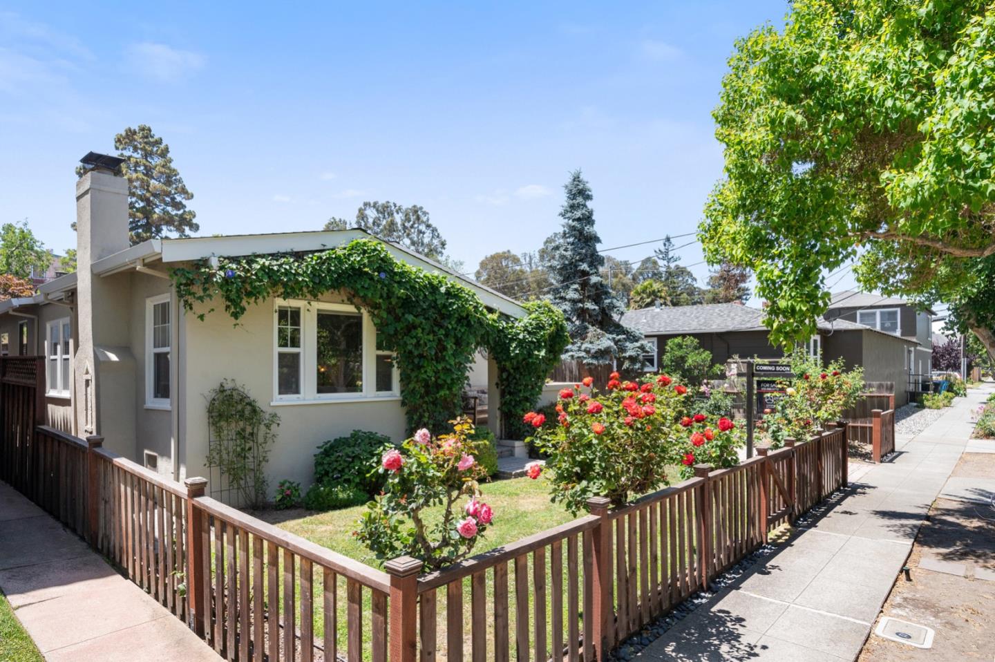 Detail Gallery Image 48 of 51 For 1251 Capuchino Ave, Burlingame,  CA 94010 - 3 Beds | 1/1 Baths