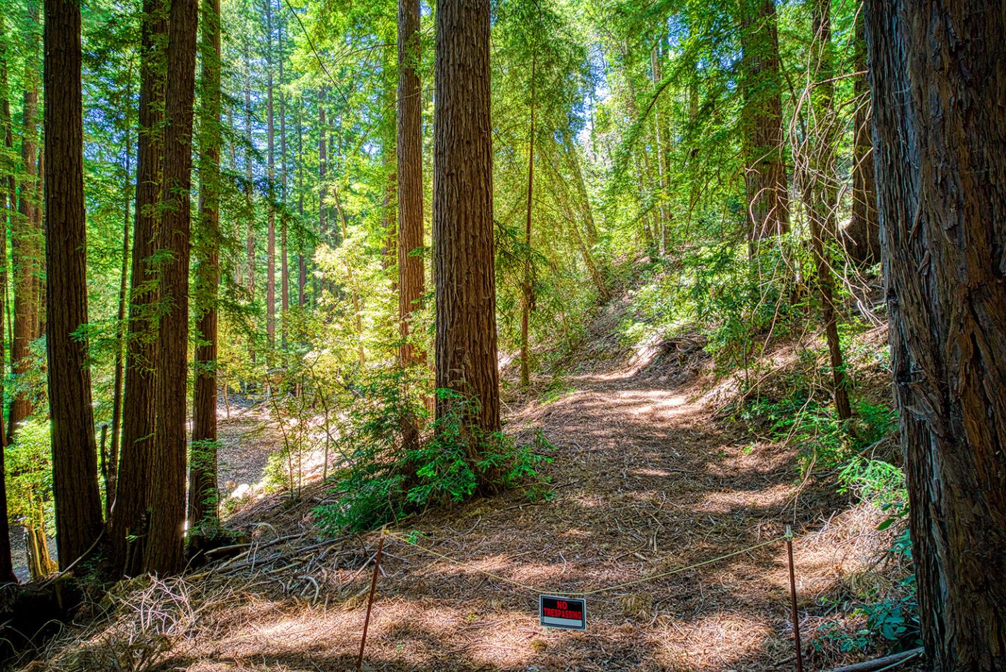 Thumbnail for 15998 Stetson Rd, Los Gatos, CA 95033