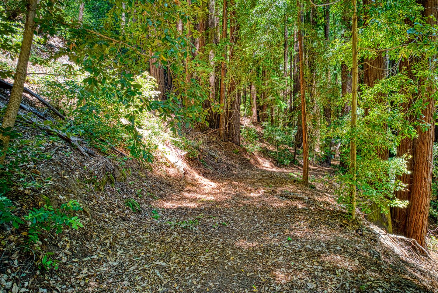 Detail Gallery Image 10 of 23 For 15998 Stetson Rd, Los Gatos,  CA 95033 - – Beds | – Baths