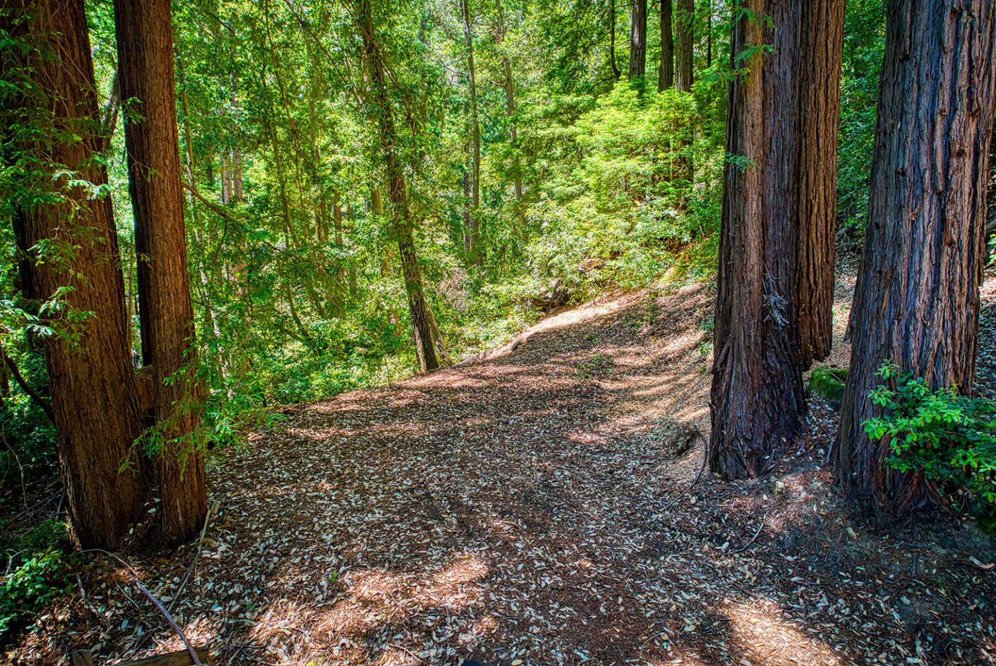 Detail Gallery Image 9 of 23 For 15998 Stetson Rd, Los Gatos,  CA 95033 - – Beds | – Baths