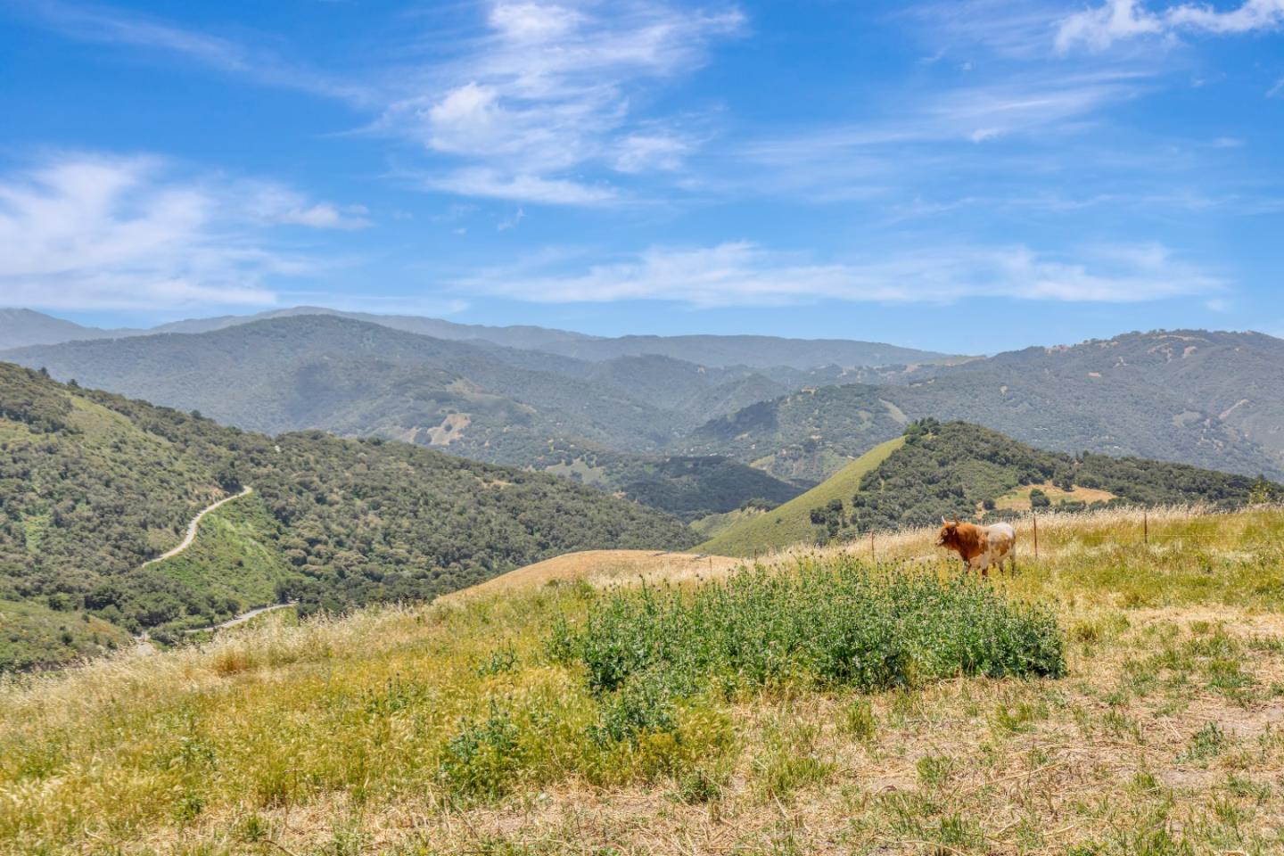 Detail Gallery Image 70 of 91 For 16205 Klondike Canyon Rd, Carmel Valley,  CA 93924 - 4 Beds | 4/1 Baths