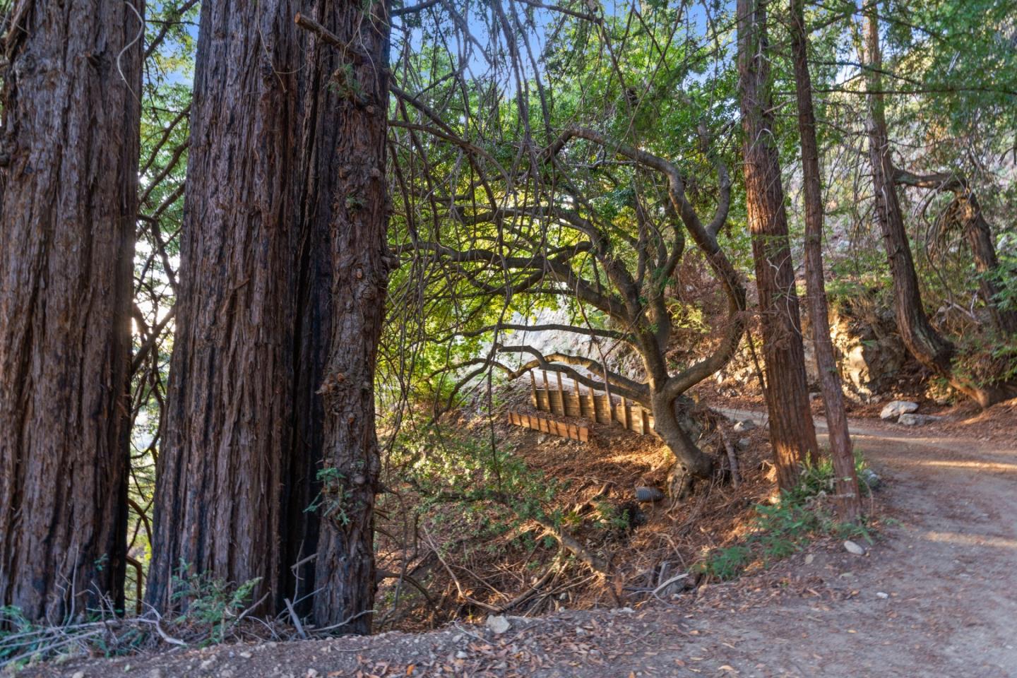 Detail Gallery Image 37 of 75 For 49155 Highway 1, Big Sur Coast,  CA 93920 - 12 Beds | 10/1 Baths