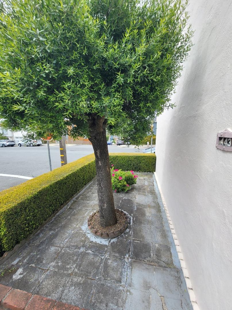 443 Garfield St, San Francisco, CA 94132 photo 46