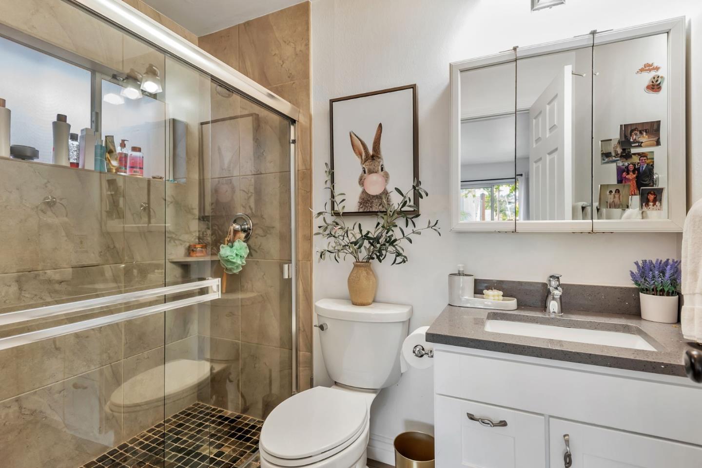 Detail Gallery Image 48 of 67 For 701 Ventura Ave, San Mateo,  CA 94403 - 4 Beds | 3/1 Baths