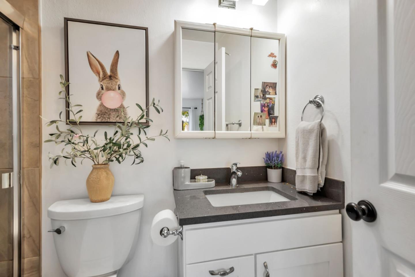 Detail Gallery Image 49 of 67 For 701 Ventura Ave, San Mateo,  CA 94403 - 4 Beds | 3/1 Baths