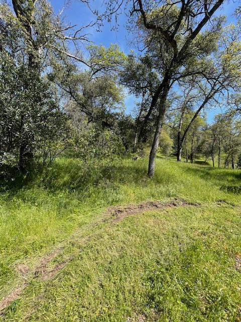 Detail Gallery Image 27 of 33 For 4771 Mary Harrison Mine Rd, Coulterville,  CA 95311 - 3 Beds | 2 Baths