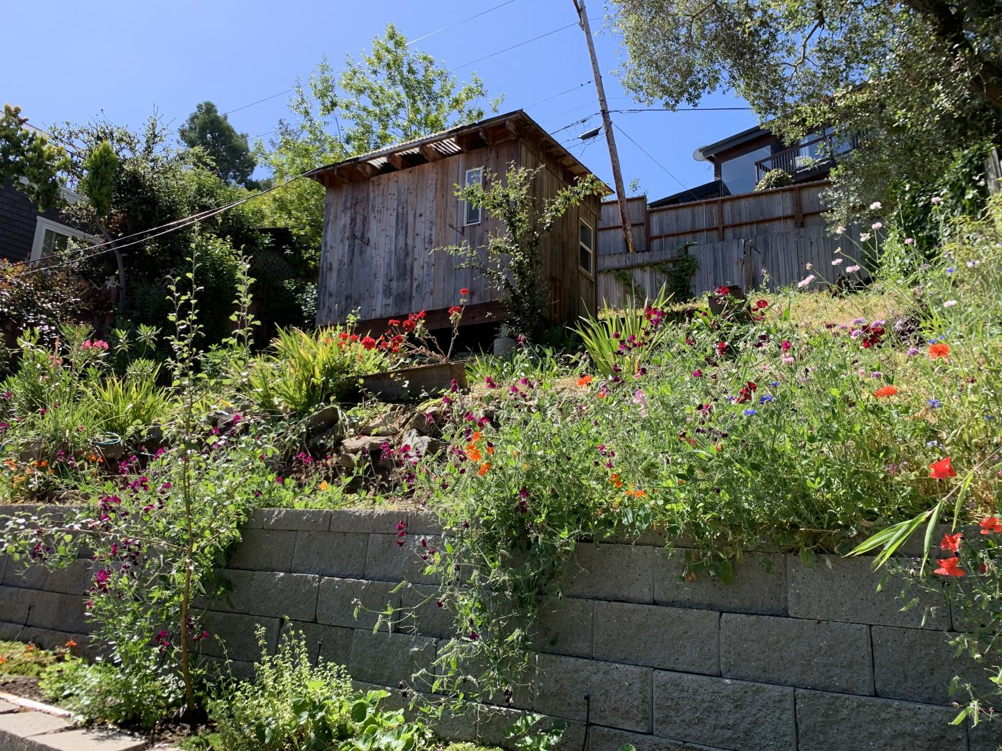 Detail Gallery Image 23 of 30 For 535 Lake Blvd, Redwood City,  CA 94062 - 2 Beds | 2 Baths