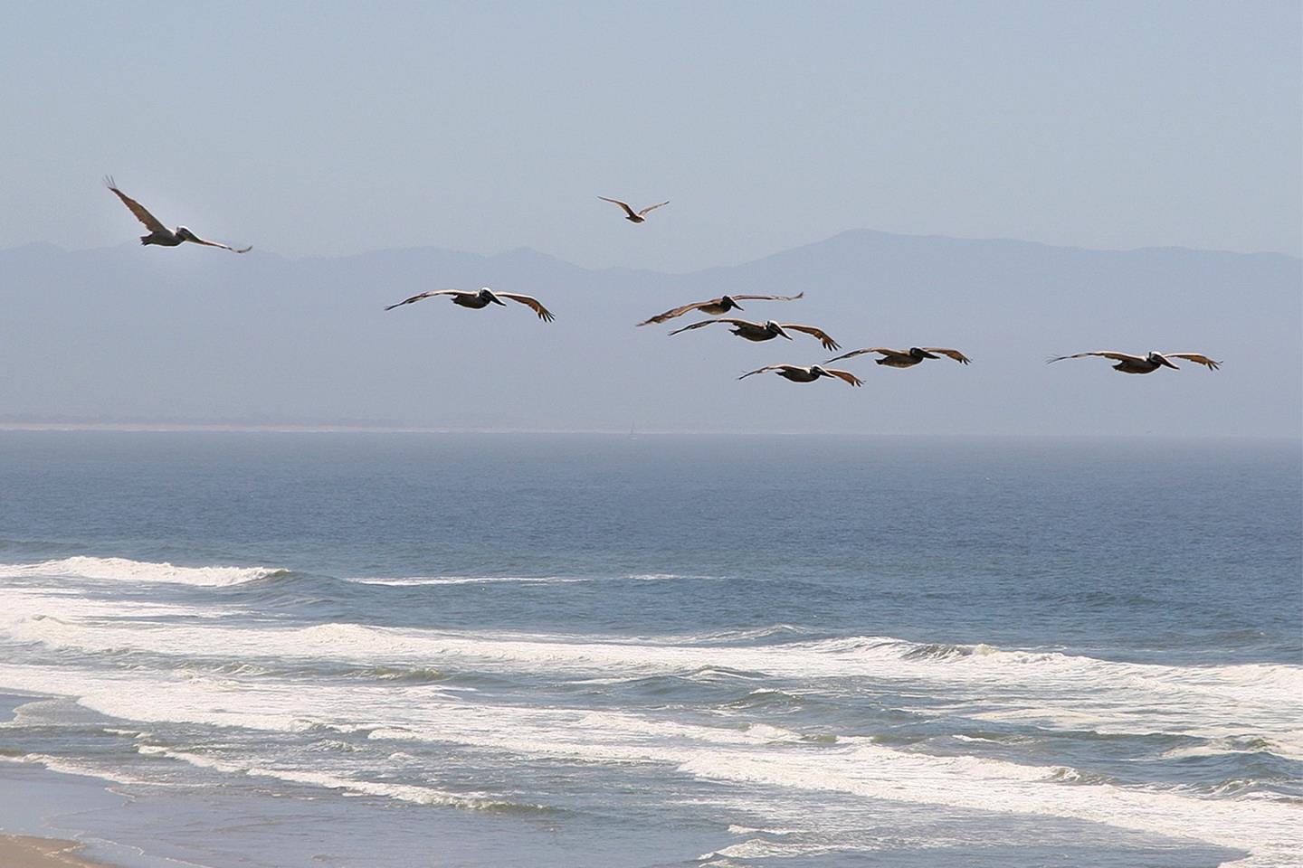 Detail Gallery Image 60 of 61 For 372 Oceanview Dr, La Selva Beach,  CA 95076 - 3 Beds | 3 Baths