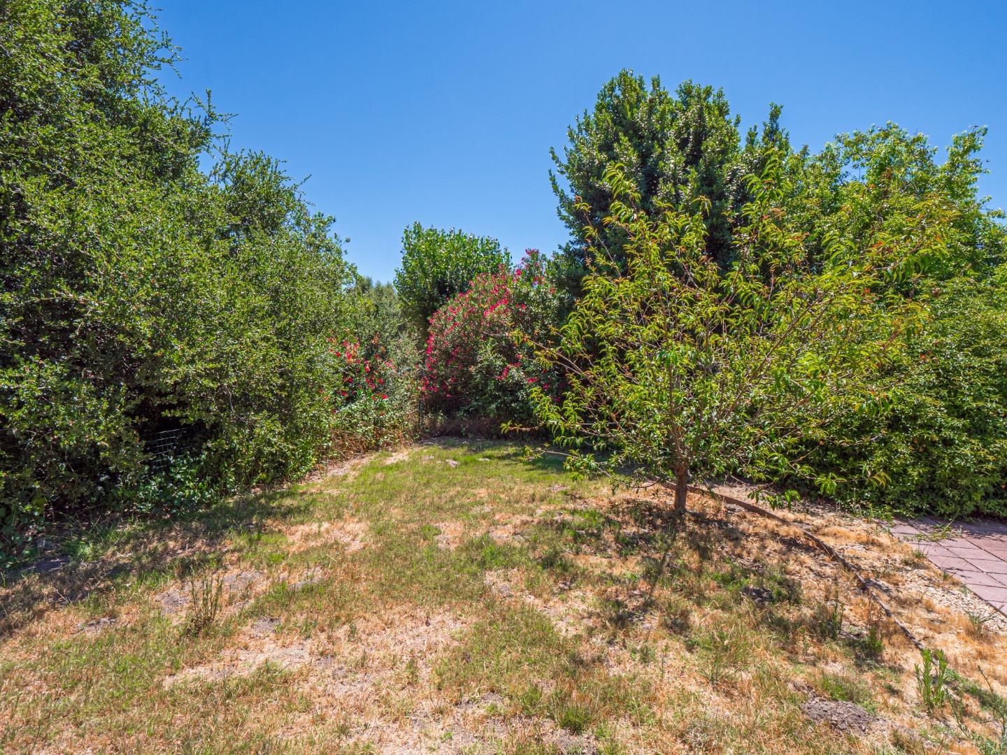 Detail Gallery Image 24 of 39 For 22367 Ortega Dr, Salinas,  CA 93908 - 3 Beds | 2 Baths