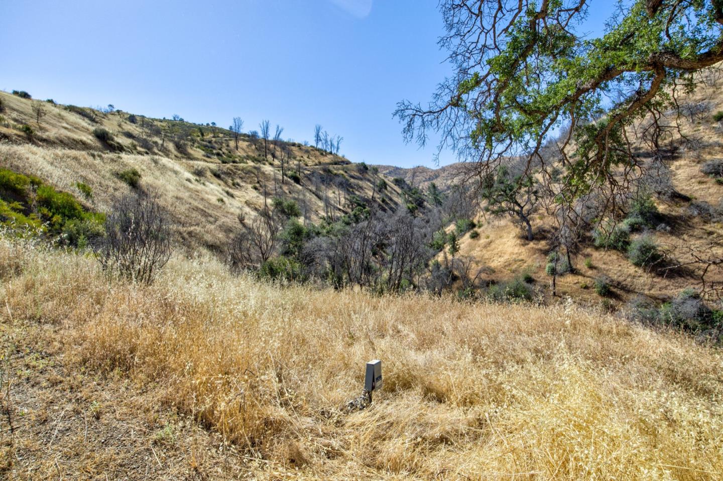 Detail Gallery Image 2 of 65 For 14600 Del Puerto Canyon Rd, Newman,  CA 95360 - – Beds | – Baths