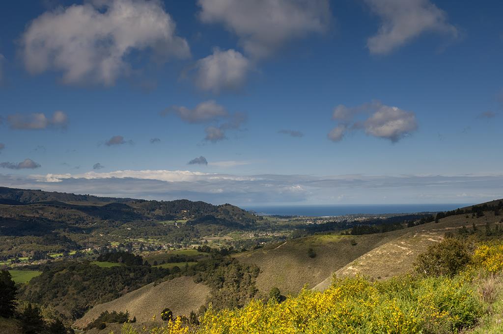 Detail Gallery Image 3 of 9 For 42 Tehama (Lot 23), Carmel,  CA 93923 - – Beds | – Baths