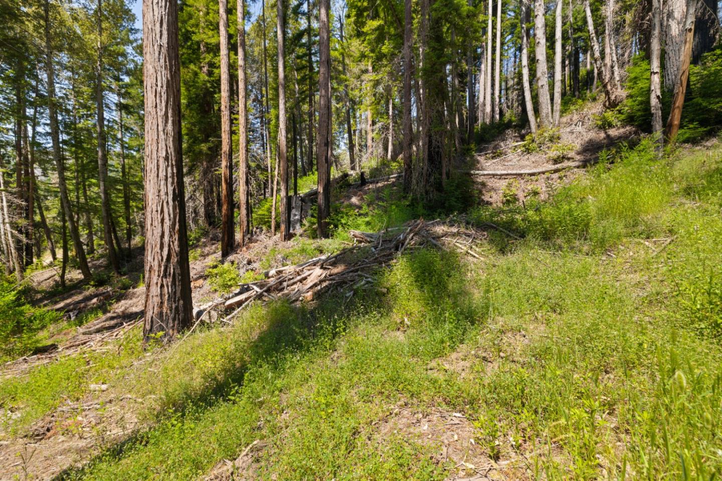 Detail Gallery Image 17 of 24 For 03 Bloom Grade, Boulder Creek,  CA 95006 - – Beds | – Baths