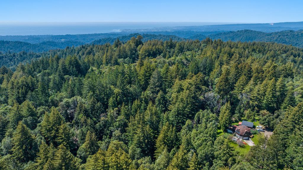 Detail Gallery Image 4 of 30 For 2900 Buzzard Lagoon Rd, Corralitos,  CA 95076 - 3 Beds | 2 Baths