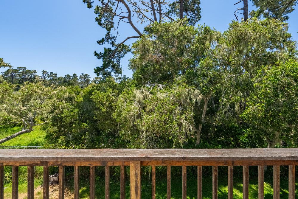 Detail Gallery Image 50 of 63 For 1336 Lawton Ave, Pacific Grove,  CA 93950 - 3 Beds | 2 Baths